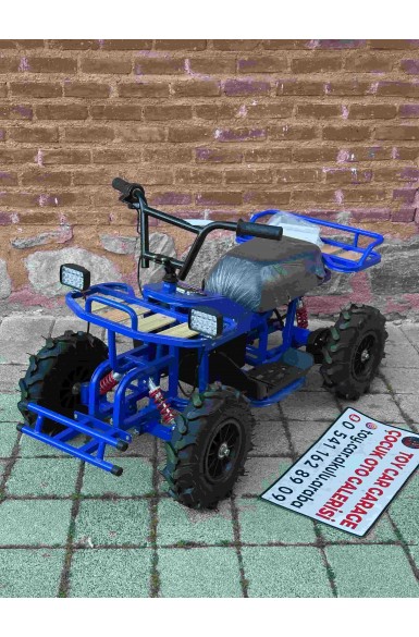 TAXIN ATV 24V
